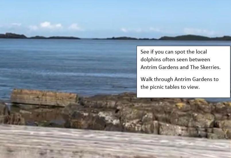Apt3, No 2 Antrim Gardens, Portrush With Seaview Extérieur photo
